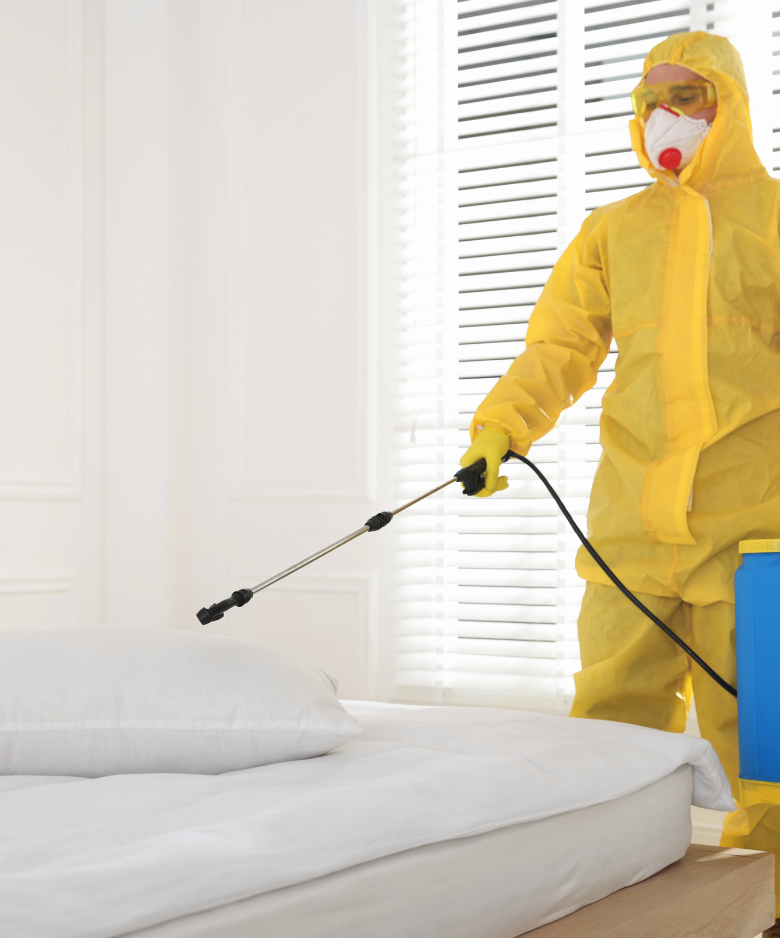 Professional Pest Control Team in Adelaide